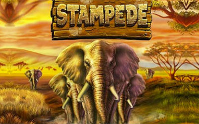 Stampede Online Slot